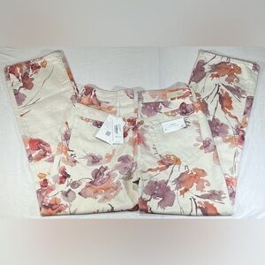 Anthropologie AG Alexxis Vintage Straight Jeans size 30 NWT